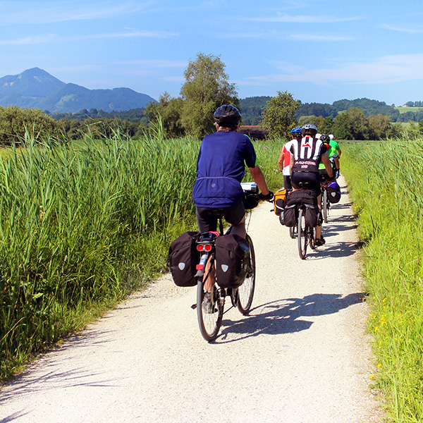 Cyclists riding down path